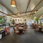 Θέρετρο Simena Comfort 4*