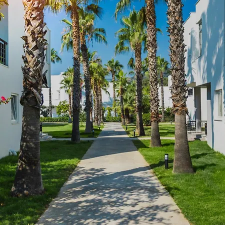 Simena Comfort ケメル